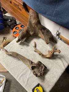 lot 6699 image: drift wood