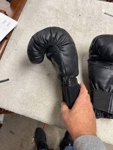 lot 6918 image: everlast boxing gloves