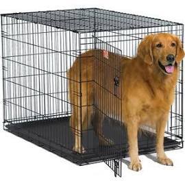 lot 4057 image: NEWDog Kennel