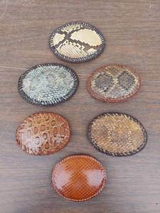 lot 5782 image: snake skin belt buckles