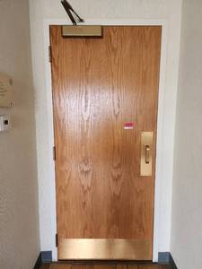 lot 37419 image: Wood Door With Gold Handel and Kick Plate