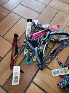 lot 37464 image: Lot of Lupine Adjustable Dog Collars