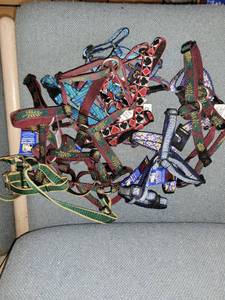 lot 37465 image: Lot of Lupine Adjustable Dog Harnesses