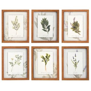 lot 1744 image: Ava Barrett Botanical Herbs 10 in x 12 in Framed Painting Art Prints by Prinz Set of 6