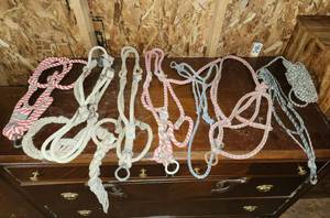 lot 256 image: Horse Halters