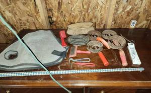 lot 260 image: Horse Grooming Supplies