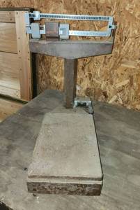lot 404 image: Detecto 130# Scale