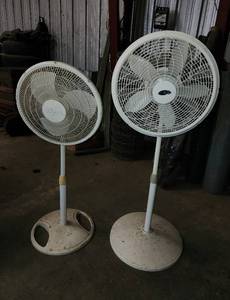 lot 454 image: (2) Fans 46 and 52