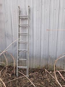 lot 500 image: 14 Extension Ladder