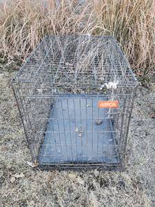 lot 13 image: Dog Crate 36x24x26