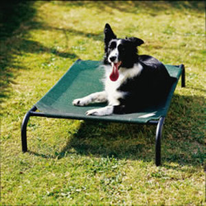 lot 52471 image: The Original Coolaroo Elevated Pet Dog Bed for Indoors & Outdoors Medium Brunswick Green