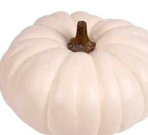 lot 100368 image: Lot of 2 Ashland Decor Pumpkin Fall Autumn
