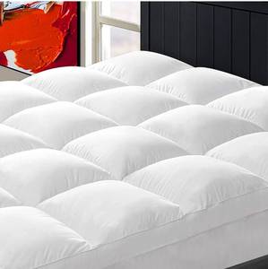 lot 100370 image: ChopinMoon Cooling Mattress Topper Queen for Back Pain, Extra Thick Mattress Pad Cover.
