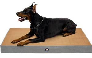 lot 200260 image: Veehoo Orthopedic Dog Bed