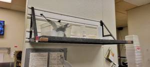 lot 18283 image: Gladiator Wall-Mount Metal Shelf