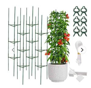 lot 57786 image: FEPITO 4 Pack 64 inch Tomato Cages Assembled Garden Plant Support Stakes for Climbing Plants Vegetables Flowers Fruits Vine Tomato Cucumbers Trellis