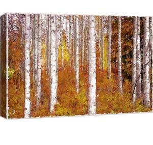 lot 57804 image: wall26 Canvas Print Wall Art Paint Stroke Birch Trees with Brown Leaves Nature Wilderness Illustrations Modern Art Rustic Scenic Colorful Multicolor for Living Room, Bedroom, Office - 16x24