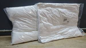 lot 57819 image: Lot of 2 - SORBARIA Down Alternative Throw Pillow Insert 22