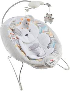 lot 24050 image: Fisher Price Sweet Snugapuppy Deluxe Bouncer