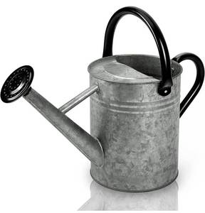 lot 24092 image: Cesun 1 Gallon Galvanized Metal Watering Can for Outdoor Plants Vintage Zinc