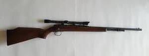 lot 1001 image: Remington Model 582 .22 SLLR Bolt-Action Rifle with Apache Scope