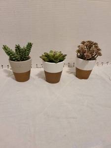 lot 2205 image: Faux succulent plants 4 - 5 tall
