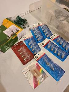 lot 3074 image: Indooroutdoor clear lights and replacement bulbs in tote