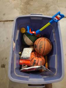lot 3094 image: Tote with assorted balls, airpump, basketball net, more
