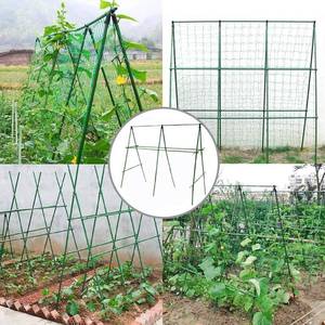 lot 3823 image: FEPIT04 PACK 64 Cucumber Trellis