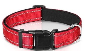 lot 2357 image: Joytale Red Pet Collar