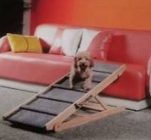 lot 8273 image: Portable Folding Dog Ramp