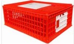 lot 5493 image: Poultry Habitat Supplies Carrier Crate 8-10 Chickens (set Of 3) Cages Crates Pet