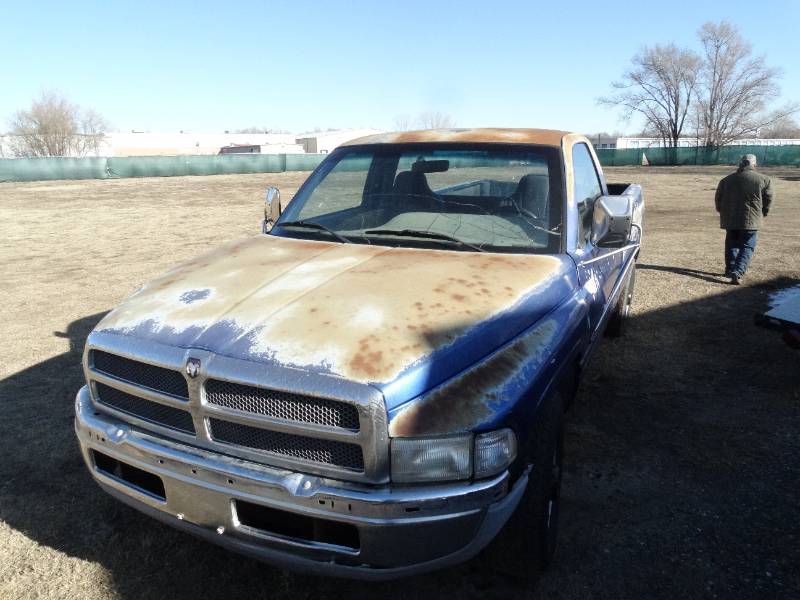 P.W. Sales Haysville, Ks warehouse Auction Taxidermy Mounts/ Tools