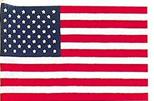 lot 180120 image: American Flag, 4 x 6, Multicolor