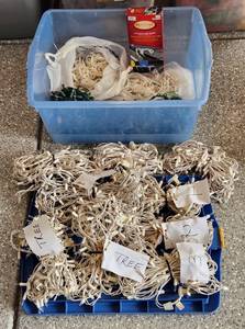 lot 437 image: Christmas Lights and Holders - Tote Included