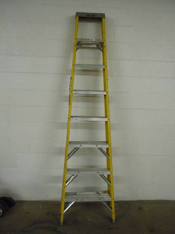 lot 17 image: Werner fiberglass ladder
