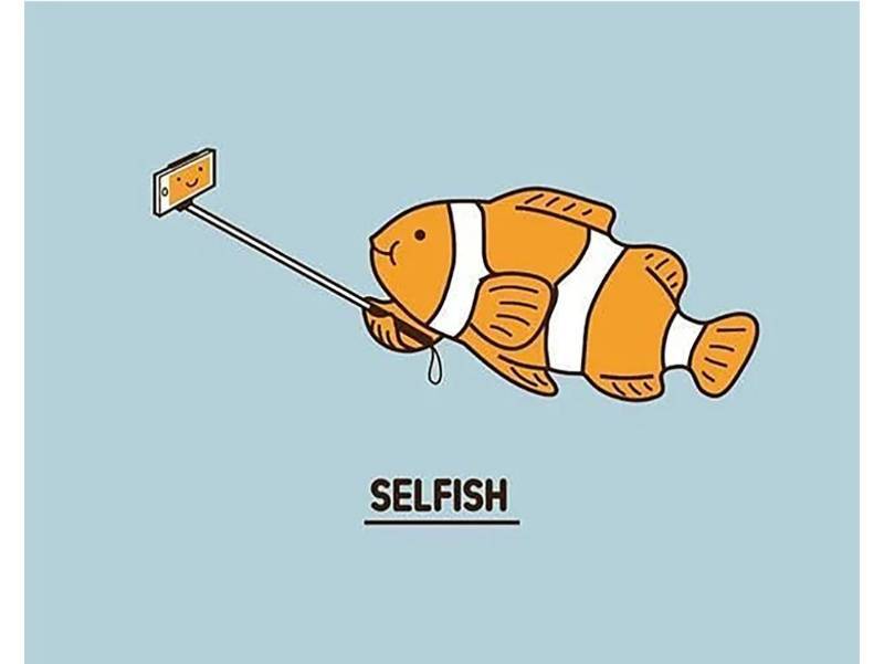 Selfie Fish