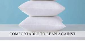 lot 56894 image: MIULEE 16 x 16 Pillow Inserts (Set of 2) - Decorative Throw Pillows Insert Square Premium Hypoallergenic Pillow Stuffers Form for Couch Sofa Bed Cushion