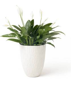 lot 56932 image: LA JOLIE MUSE Tall Planter - 14.2 Inch Large Indoor & Outdoor Tree Planter, Plant Pot Containers with Tree Bark Texture, White Stone