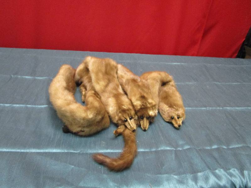 lot 8252 image: Mink Shawl