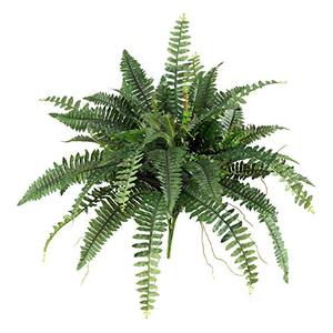 lot 64139 image: Nearly Natural 40in. Boston Fern (Set of 2), Green