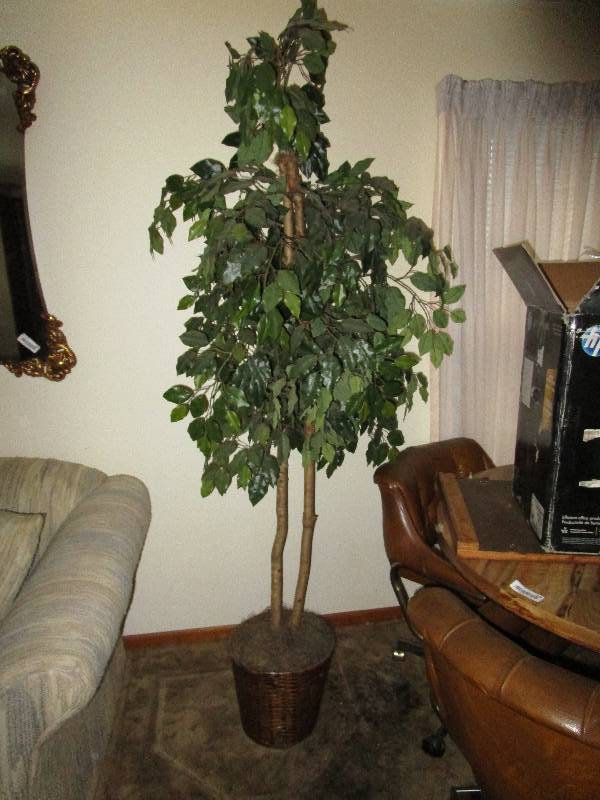 lot 8234 image: Artificial ficus tree