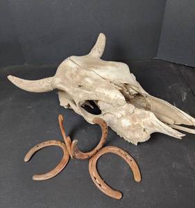 lot 214 image: Cow Skull and Horseshoe Bookends