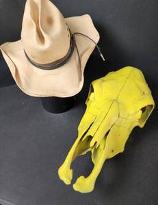 lot 216 image: Skull and Cowboy Hat Decor