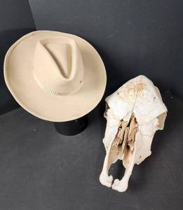 lot 217 image: Skull and Cowboy Hat Decor