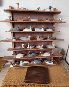 lot 223 image: Collectable Ducks (shelf not included)