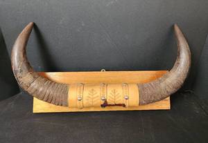 lot 154 image: Mounted Horn Decor