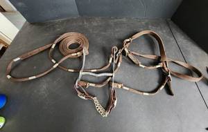 lot 28 image: New Bridle, Bit, and Reins