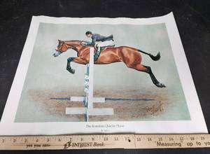 lot 346 image: Tube of American Quarter Horse Posters 16x20 (all the same)