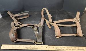 lot 329 image: Leather Halters